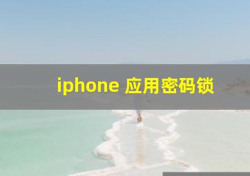 iphone 应用密码锁